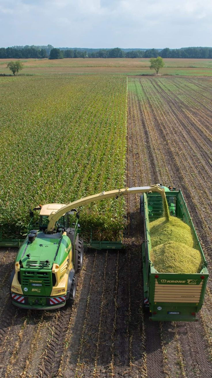 Fuel & Energy System